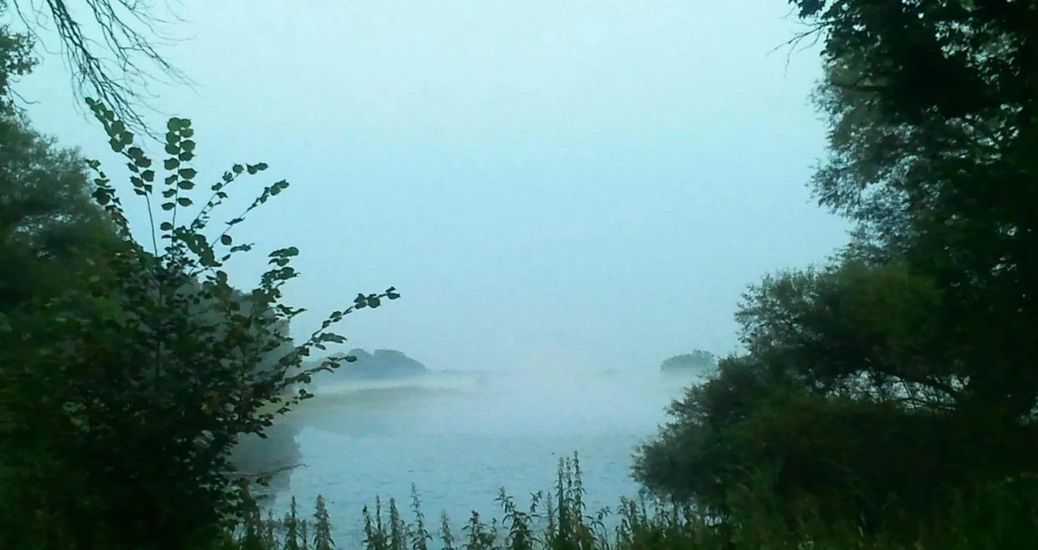 Morgennebel an der Elbe nahe dem Forsthaus Leiner Berg